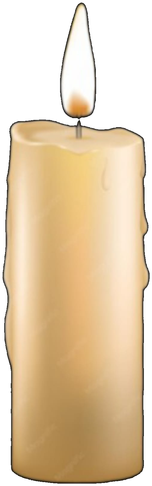 Vela