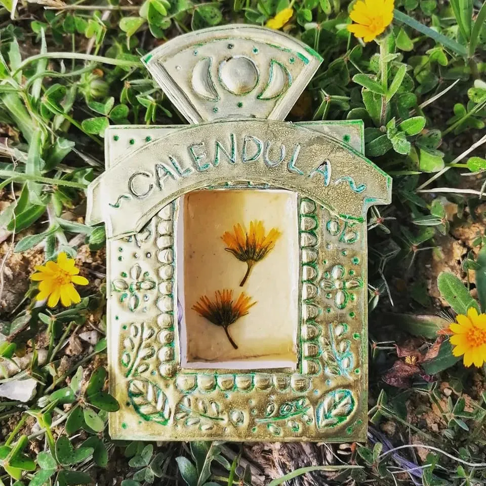 Altar herbolario: Caléndula